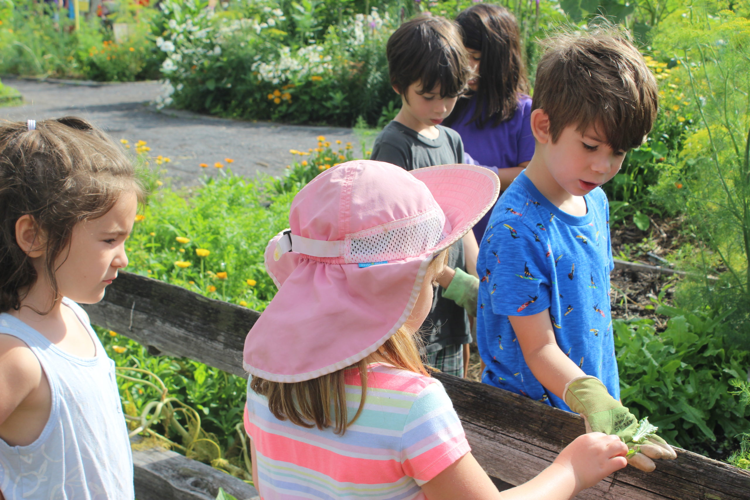 Ithaca Children's Garden – You Belong Here